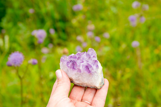 Hand holding beautiful raw amethyst crystals against a vibrant, natural green outdoor backdrop.