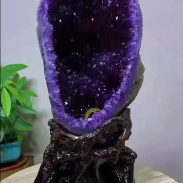 Museum-quality 44.22 lb natural amethyst cave known as the Earth Root Geode, featuring deep grape-jelly purple crystals resting on an intricate dark root wood pedestal