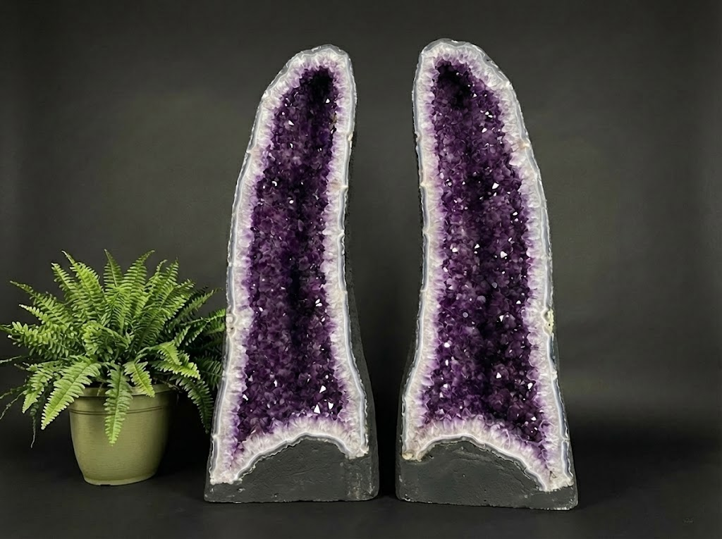 Pair of deep dark purple Uruguayan amethyst geode halves next to a small fern plant