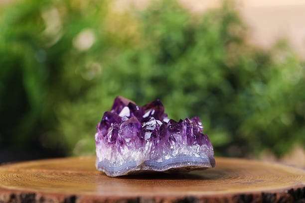 Vibrant purple amethyst crystal cluster on a wooden slice. Natural gemstone beauty.
