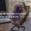 Choosing an Amethyst Crystal for Anxiety: A Practical, Grounded Guide - Zerevia guide cover on amethyst image